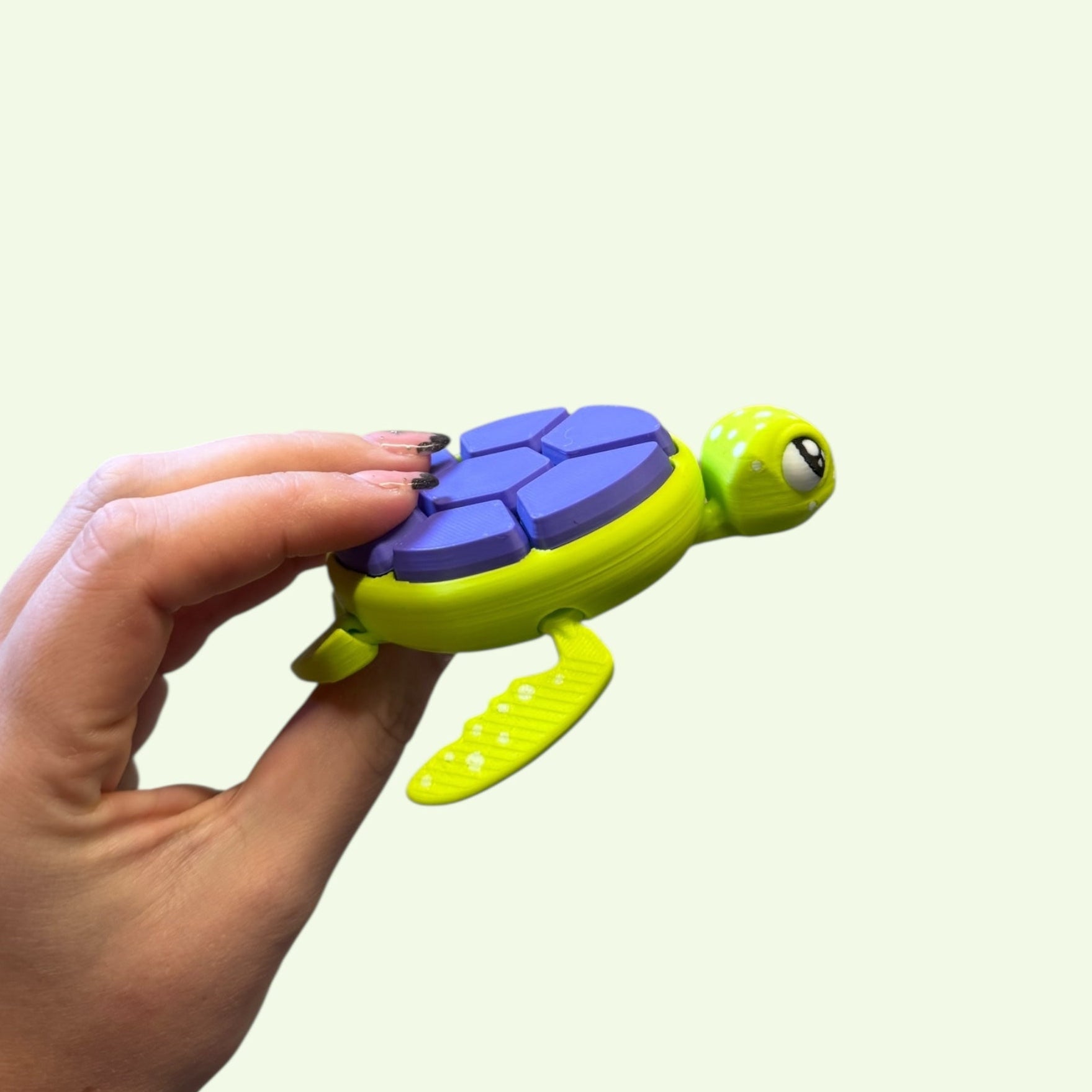 Multi-Clicker Turtle