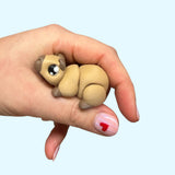Mini Capybara Wigglet