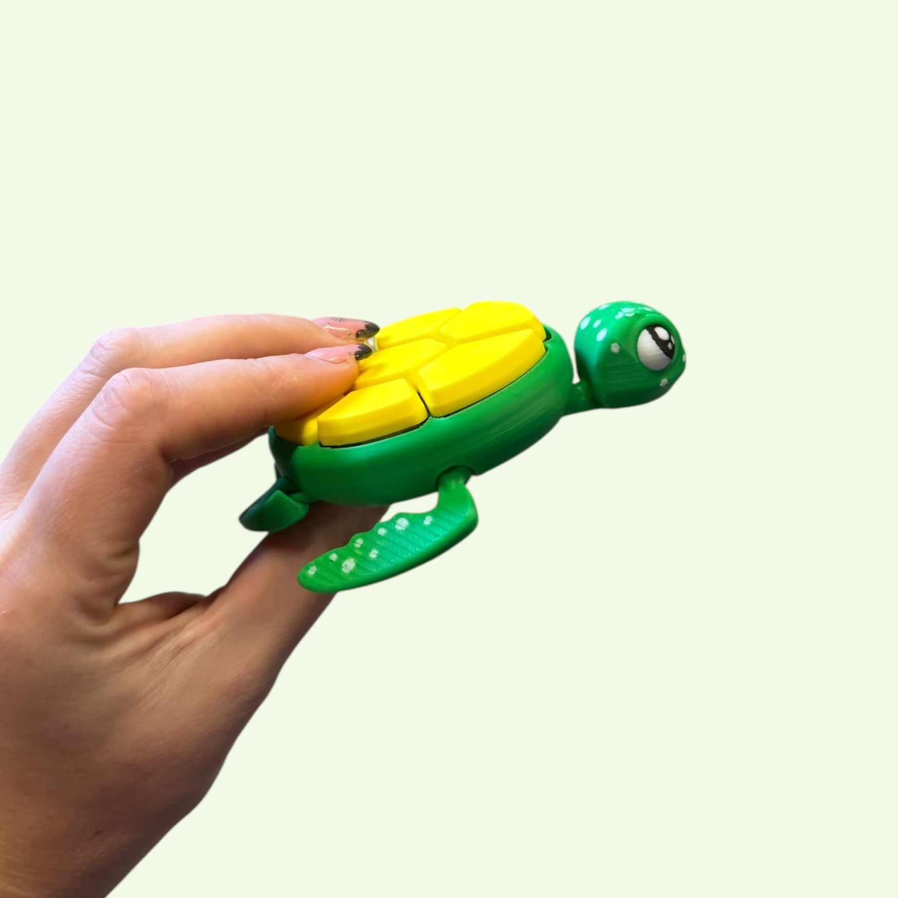 Multi-Clicker Turtle