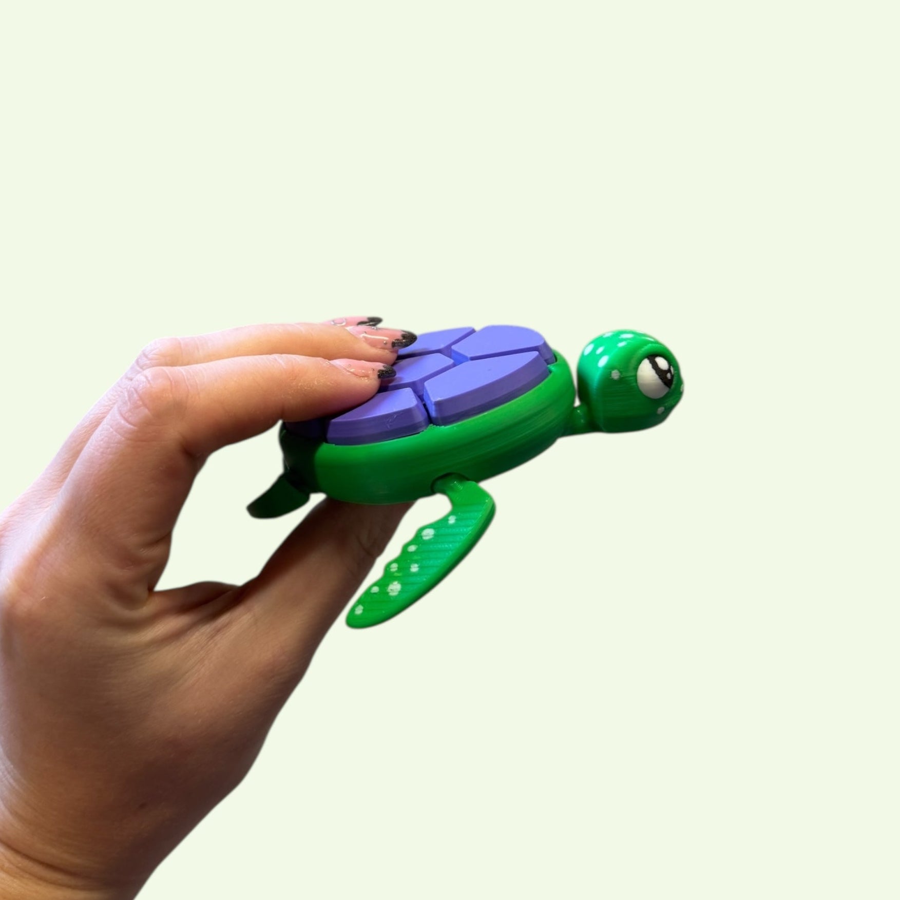 Multi-Clicker Turtle