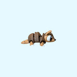 Armadillo