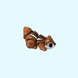 Chipmunk
