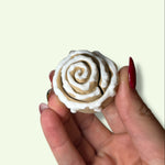 Hand holding a small white rose-shaped object against a light background