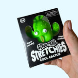 Cool Cactus