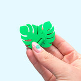 Monstera Slip and Slide
