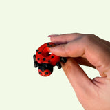 Ladybird Spinner