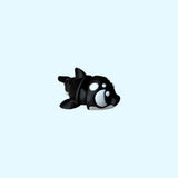 Orca | Killer Whale