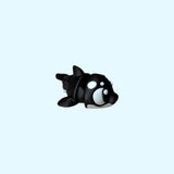 Orca | Killer Whale