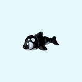 Orca | Killer Whale