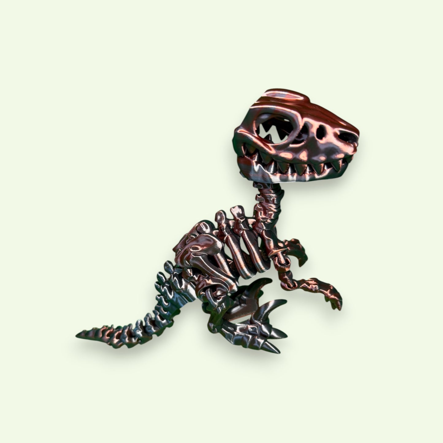Flexi Skeleton Raptor