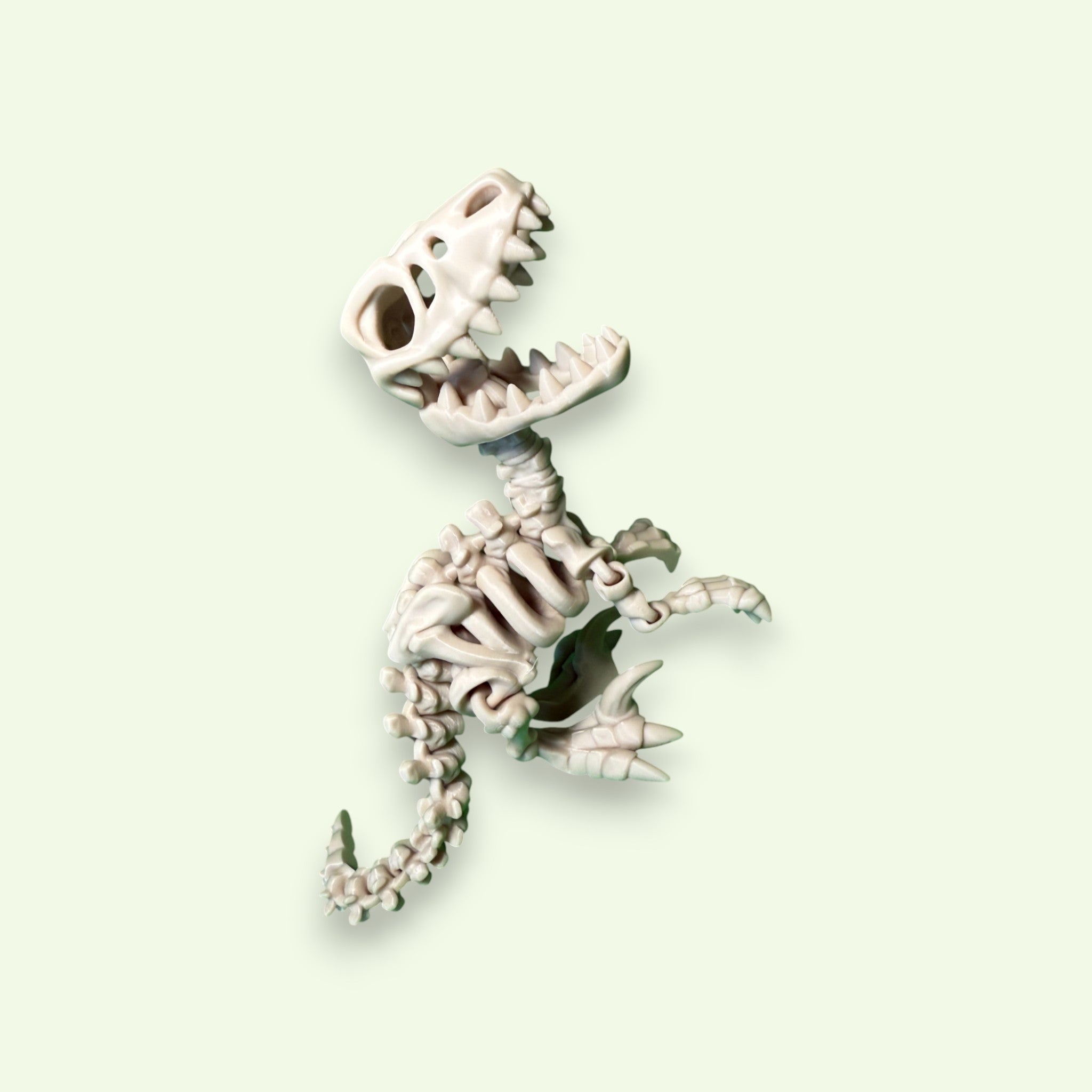 Flexi Skeleton Raptor