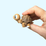 Tortoise