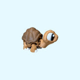 Tortoise