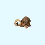 Tortoise