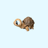 Tortoise